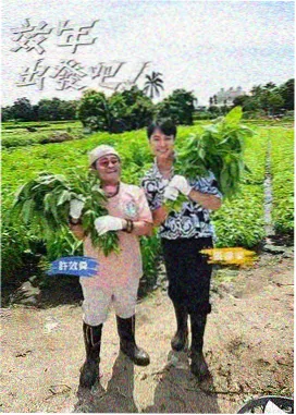 周末不加班 综艺海报